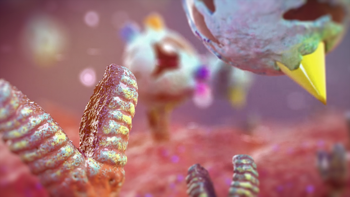 Mecanismo de accion interactivo 02